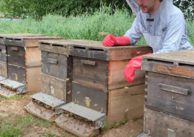 Another view of hive boxes with The Bees' Feet Pollen Traps in use