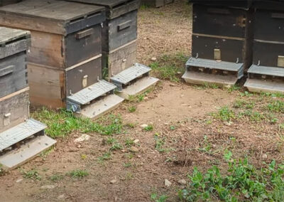 Hive boxes with The Bees' Feet Pollen Trap attached